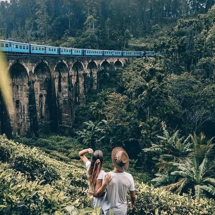 Ella Odyssey Train & Nine Arch Bridge